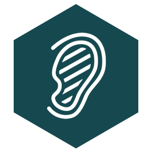 Sound Sensitivity & Misophonia
