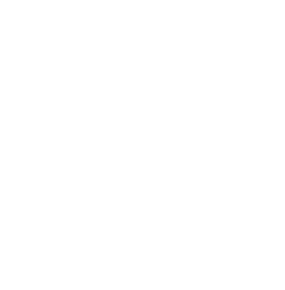 Cochlear Icon - White - Cognitive Icons