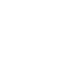Hearing Aids Icon - White - Cognitive Icon - 2